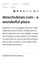 Mobile Screenshot of dmschulman.com